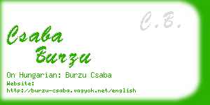 csaba burzu business card